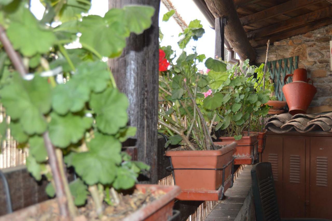 Apimonte Casa Do Pascoal - Pn Montesinho Villa Bragança Dış mekan fotoğraf