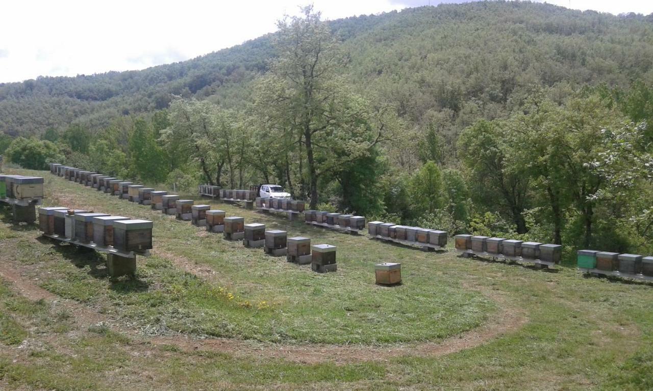 Apimonte Casa Do Pascoal - Pn Montesinho Villa Bragança Dış mekan fotoğraf