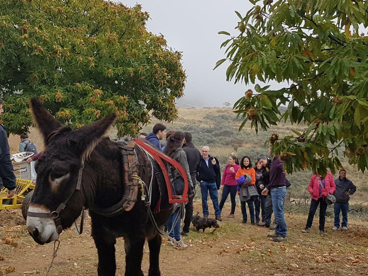 Apimonte Casa Do Pascoal - Pn Montesinho Villa Bragança Dış mekan fotoğraf