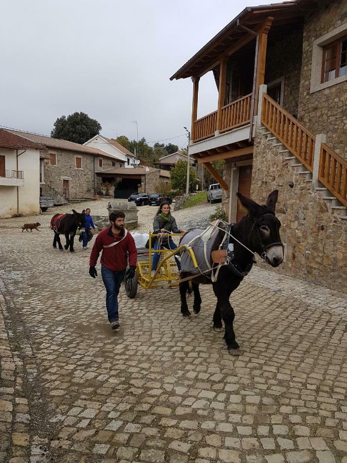 Apimonte Casa Do Pascoal - Pn Montesinho Villa Bragança Dış mekan fotoğraf
